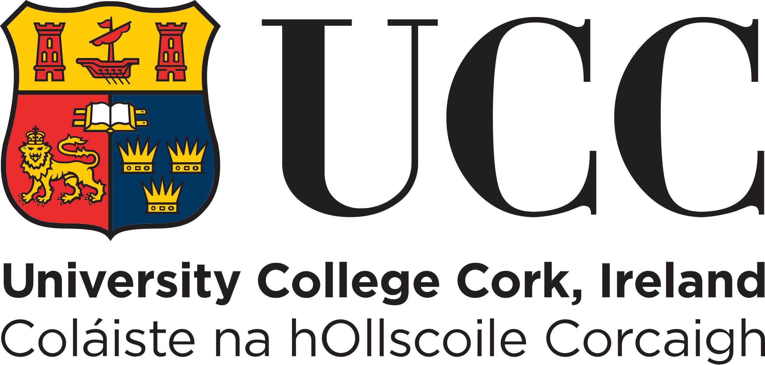 UCC BSc BIS